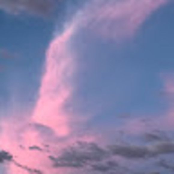 Meet your Posher, Elyssa - Picture 1 of 1